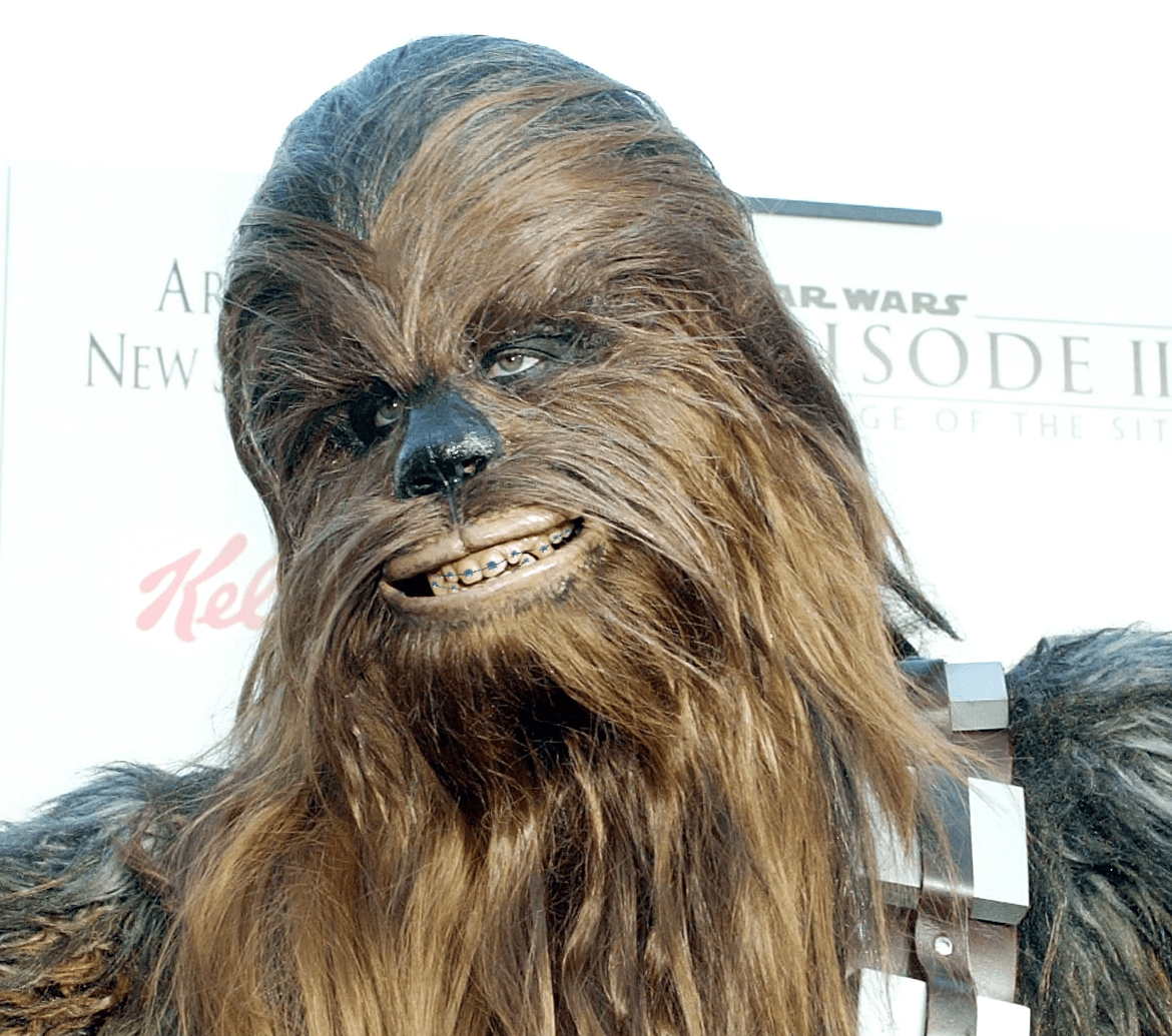 Chewbacca flashes those signature pearly canines at the Star Wars premiere!